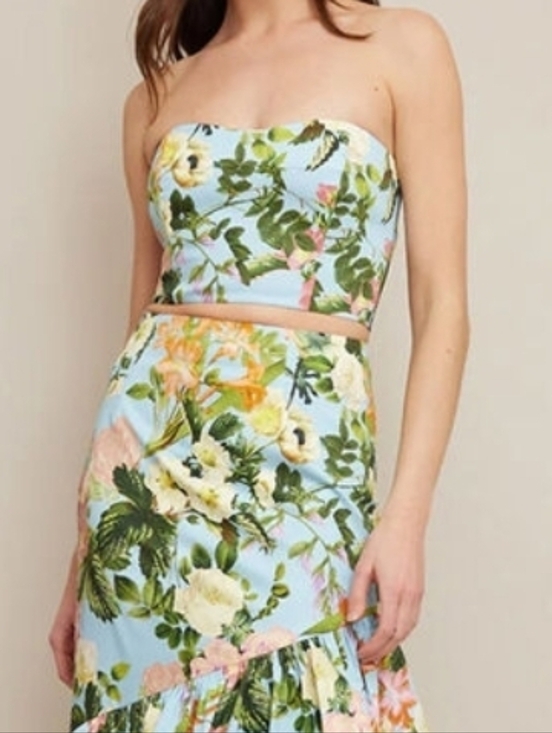 Cara Cara Tops - NWT Cara Cara Elsa Bustier Top Blue Floral Size S